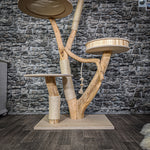 Naturkratzbaum 2150 Kratzbaum Natur Holz Design 162 cm hoch