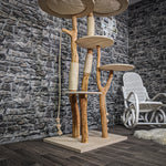 Naturkratzbaum 2160 Kratzbaum Natur Holz Design 170 cm hoch