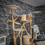 Naturkratzbaum 2162 Kratzbaum Natur Holz Design 185 cm hoch