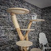 Naturkratzbaum 2166 Kratzbaum Natur Holz Design 180 cm hoch