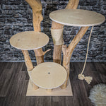 Naturkratzbaum 2175 Kratzbaum Natur Holz Design 165 cm hoch