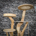 Naturkratzbaum 2175 Kratzbaum Natur Holz Design 165 cm hoch