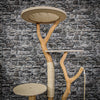 Naturkratzbaum 2178 Kratzbaum Natur Holz Design 145 cm hoch