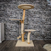 Naturkratzbaum 2184 Kratzbaum Natur Holz Design 135 cm hoch