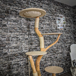 Naturkratzbaum 2190 Kratzbaum Natur Holz Design 175 cm hoch