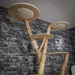 Naturkratzbaum 2191 Kratzbaum Natur Holz Design 210 cm hoch