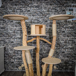Naturkratzbaum 2200 Kratzbaum Natur Holz Design 155 cm hoch