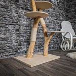 RESERVIERT - Naturkratzbaum 2203 Kratzbaum Natur Holz Design 143 cm hoch