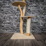 Naturkratzbaum 2221 Kratzbaum Natur Holz Design 135 cm hoch