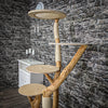 Naturkratzbaum 2224 Kratzbaum Natur Holz Design 170 cm hoch