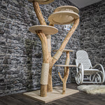 Naturkratzbaum 2245 Kratzbaum Natur Holz Design 175 cm hoch