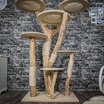 Naturkratzbaum 2245 Kratzbaum Natur Holz Design 175 cm hoch