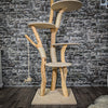 Naturkratzbaum 2246 Kratzbaum Natur Holz Design 175 cm hoch