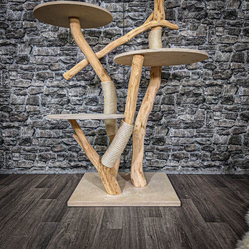 Naturkratzbaum 2260 Kratzbaum Natur Holz Design 145 cm hoch