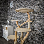 Naturkratzbaum 2260 Kratzbaum Natur Holz Design 145 cm hoch