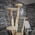RESERVIERT Naturkratzbaum 2263 Kratzbaum Natur Holz Design 210 cm hoch