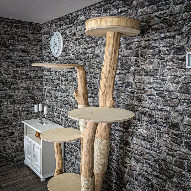RESERVIERT Naturkratzbaum 2263 Kratzbaum Natur Holz Design 210 cm hoch