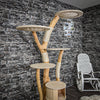 Naturkratzbaum 2266 Kratzbaum Natur Holz Design 195 cm hoch