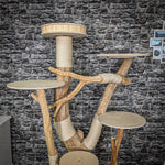 Naturkratzbaum 2267 Kratzbaum Natur Holz Design 190 cm hoch