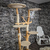 Naturkratzbaum 2273 Kratzbaum Natur Holz Design 195 cm hoch