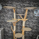 Naturkratzbaum 2273 Kratzbaum Natur Holz Design 195 cm hoch