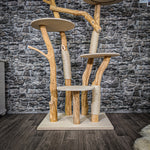 Naturkratzbaum 2282 Kratzbaum Natur Holz Design 178 cm hoch