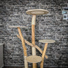 Naturkratzbaum 2283 Kratzbaum Natur Holz Design 170 cm hoch