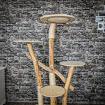 Naturkratzbaum 2283 Kratzbaum Natur Holz Design 170 cm hoch