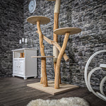 Naturkratzbaum 2283 Kratzbaum Natur Holz Design 170 cm hoch