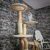 Naturkratzbaum 2289 Kratzbaum Natur Holz Design 175 cm hoch