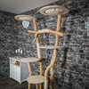 Naturkratzbaum 2294 Kratzbaum Natur Holz Design 205 cm hoch
