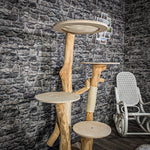 Naturkratzbaum 2301 Kratzbaum Natur Holz Design 155 cm hoch