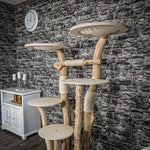 Naturkratzbaum 2311 Kratzbaum Natur Holz Design 160 cm hoch