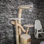 Naturkratzbaum 2321 Kratzbaum Natur Holz Design 160 cm hoch