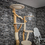 Naturkratzbaum 2330 Kratzbaum Natur Holz Design 205 cm hoch