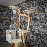 Naturkratzbaum 2330 Kratzbaum Natur Holz Design 205 cm hoch