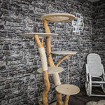 Naturkratzbaum 2353 Kratzbaum Natur Holz Design 172 cm hoch
