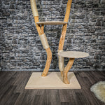 Naturkratzbaum 2370 Kratzbaum Natur Holz Design 166 cm hoch