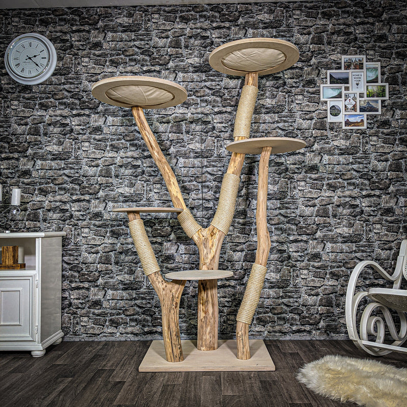 - RESERVIERT - Naturkratzbaum 2380 Kratzbaum Natur Holz Design 190 cm hoch