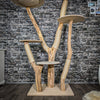 - RESERVIERT - Naturkratzbaum 2380 Kratzbaum Natur Holz Design 190 cm hoch