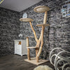 - RESERVIERT - Naturkratzbaum 2380 Kratzbaum Natur Holz Design 190 cm hoch