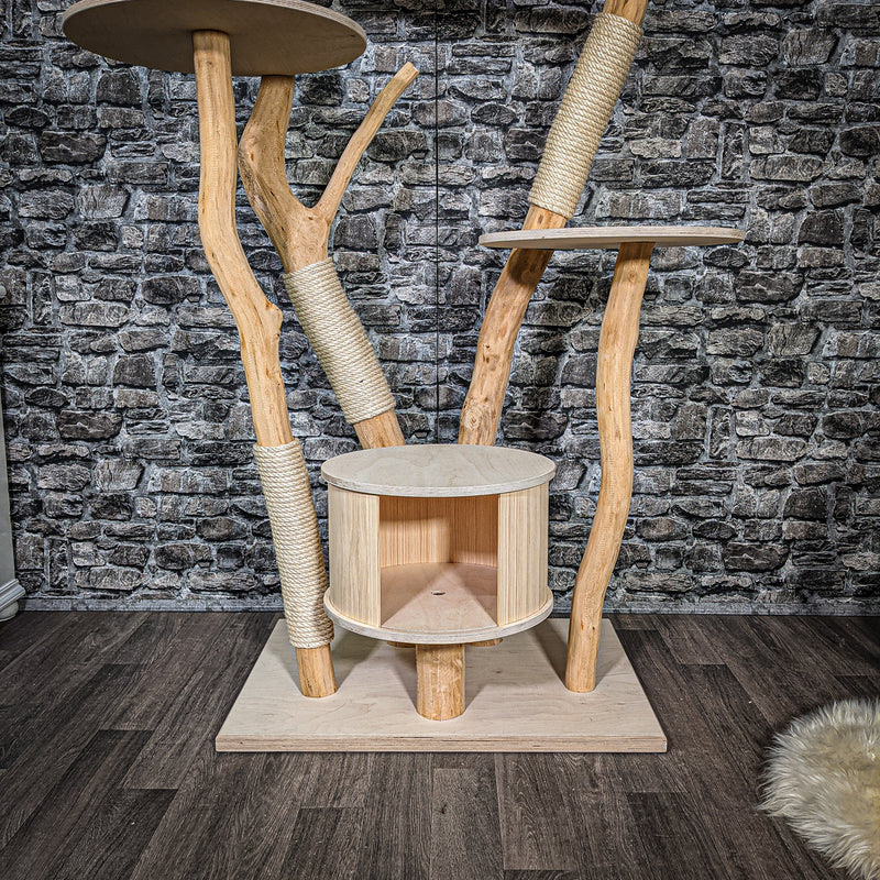 RESERVIERT Naturkratzbaum 2386 Kratzbaum Natur Holz Design 184 cm hoch