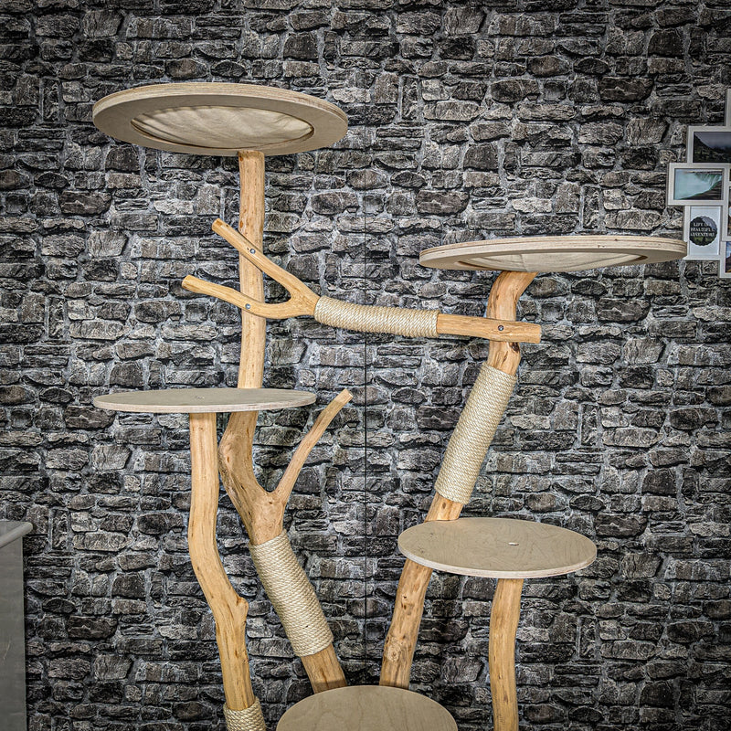 RESERVIERT Naturkratzbaum 2386 Kratzbaum Natur Holz Design 184 cm hoch