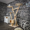Naturkratzbaum 2393 Kratzbaum Natur Holz Design 174 cm hoch