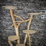 Naturkratzbaum 2401 Kratzbaum Natur Holz Design 195 cm hoch