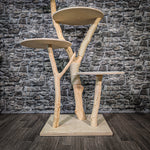 Naturkratzbaum 2408 Kratzbaum Natur Holz Design 145 cm hoch