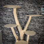 Naturkratzbaum 2414 Kratzbaum Natur Holz Design 183 cm hoch