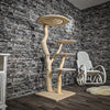 Naturkratzbaum 2415 Kratzbaum Natur Holz Design 145 cm hoch