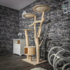 Naturkratzbaum 2425 Kratzbaum Natur Holz Design 178 cm hoch