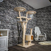 Naturkratzbaum 2425 Kratzbaum Natur Holz Design 178 cm hoch